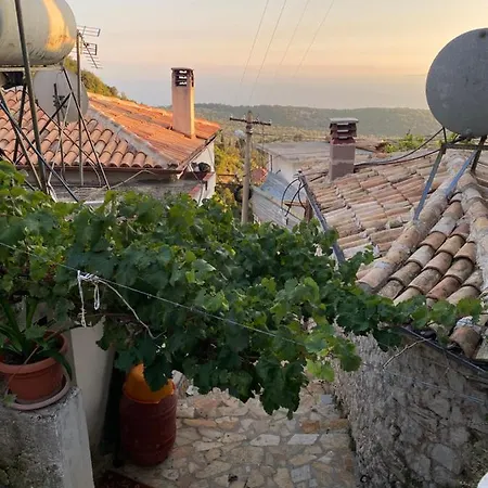 Shotgun & אכסניה *