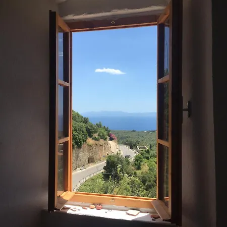 אכסניה Shotgun & *