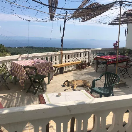 אכסניה Shotgun & Vuno