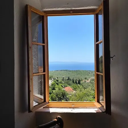 بيت شباب Shotgun & *