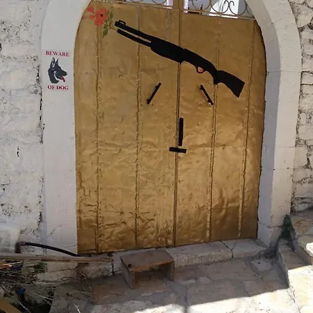 Shotgun & بيت شباب *