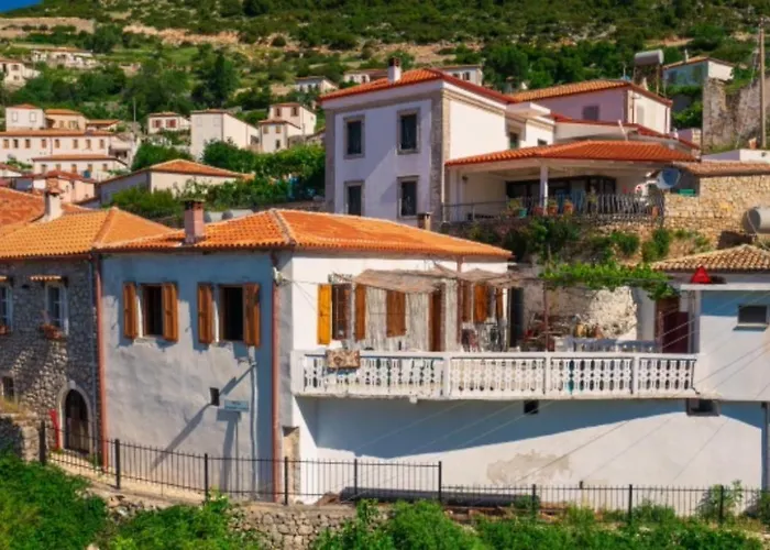 Shotgun & بيت شباب