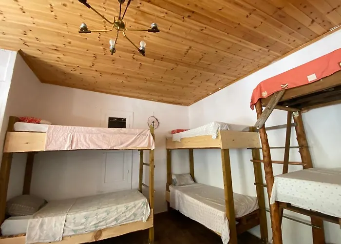 Shotgun & بيت شباب *