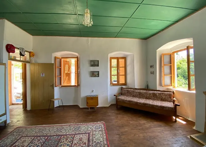 بيت شباب Shotgun & Vuno