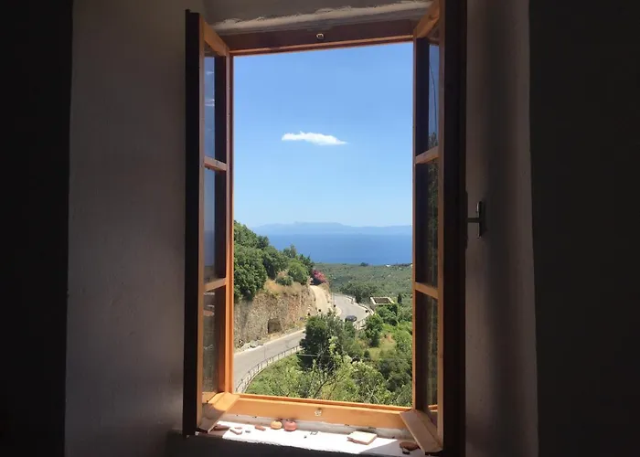 بيت شباب Shotgun & *