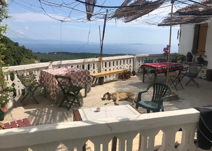 بيت شباب Shotgun & Vuno